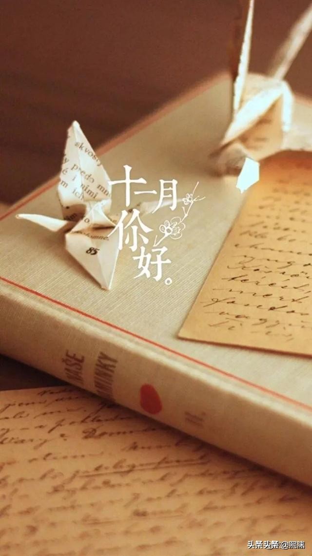 十一月很孤单,十一月孤独寂寞