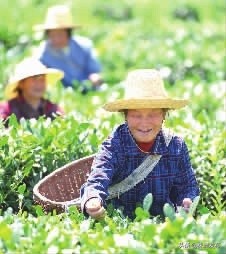 株洲是一个如诗如画的城市,株洲特别好的一个城市