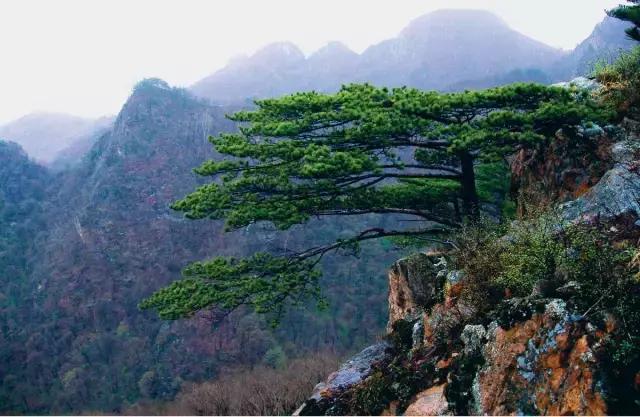 五一最佳游玩地,五一风景最好的自驾游