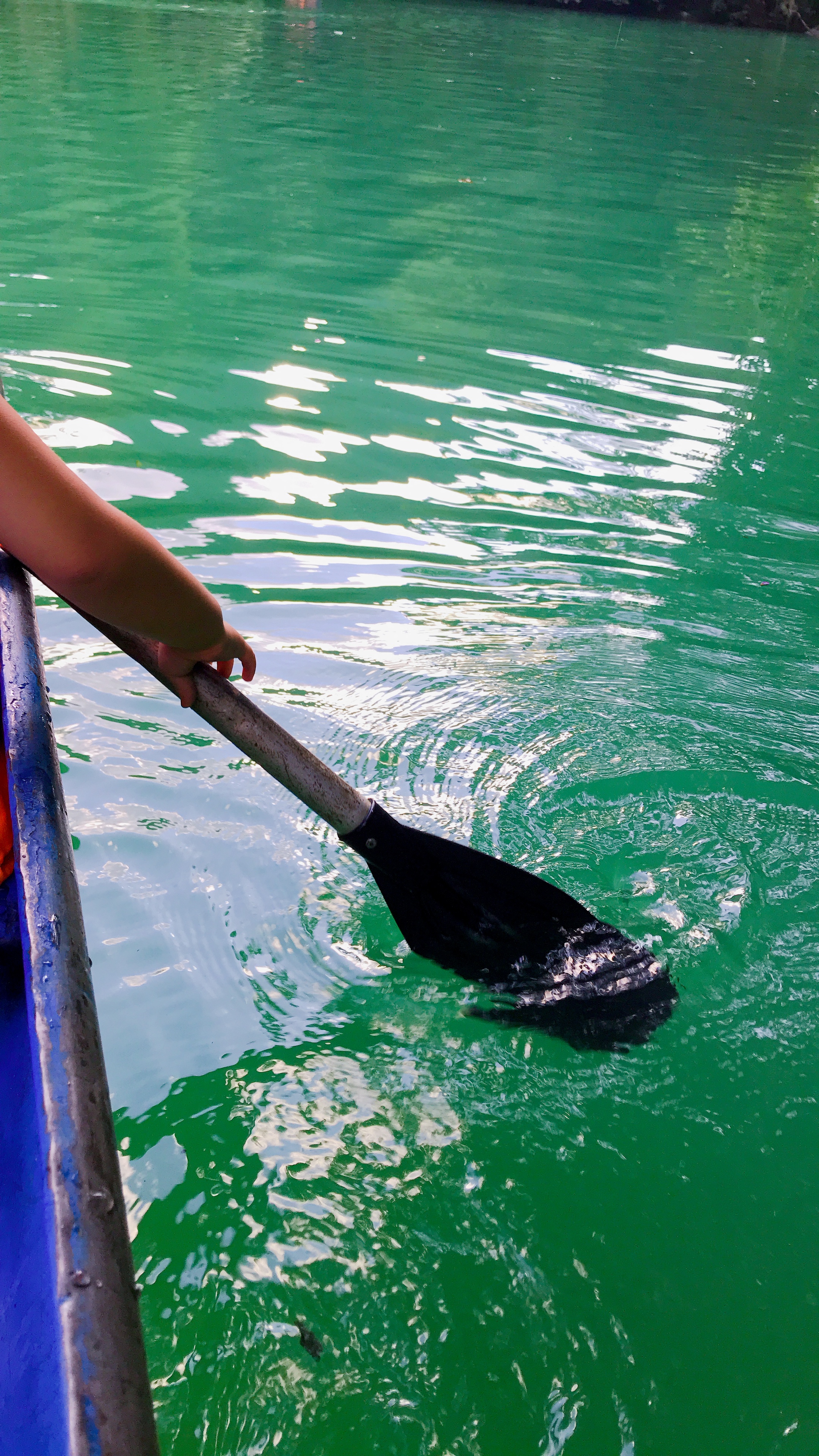 自驾游荔波小七孔旅游攻略,荔波小七孔游记600字