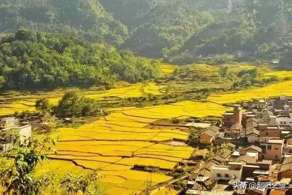 甯備簳椋庢儏杩樻槸甯備簳椋庡厜,甯備簳姘旀伅椋庢櫙