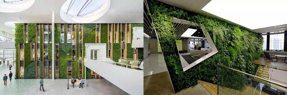 夏日“绿”调丨听说这种色系的办公室，让人不想下班