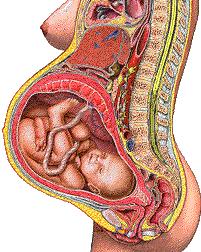 尴尬！产后打喷嚏漏尿，原来是它在作妖