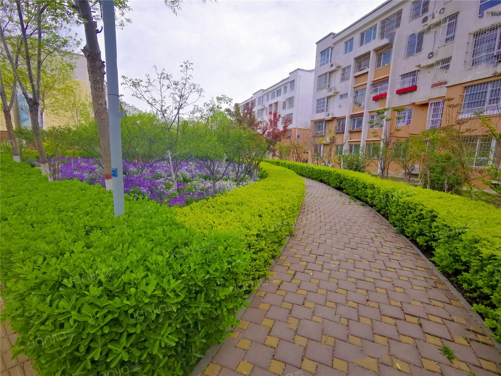 天津市有20万左右的房子吗,天津总价二十多万的房子