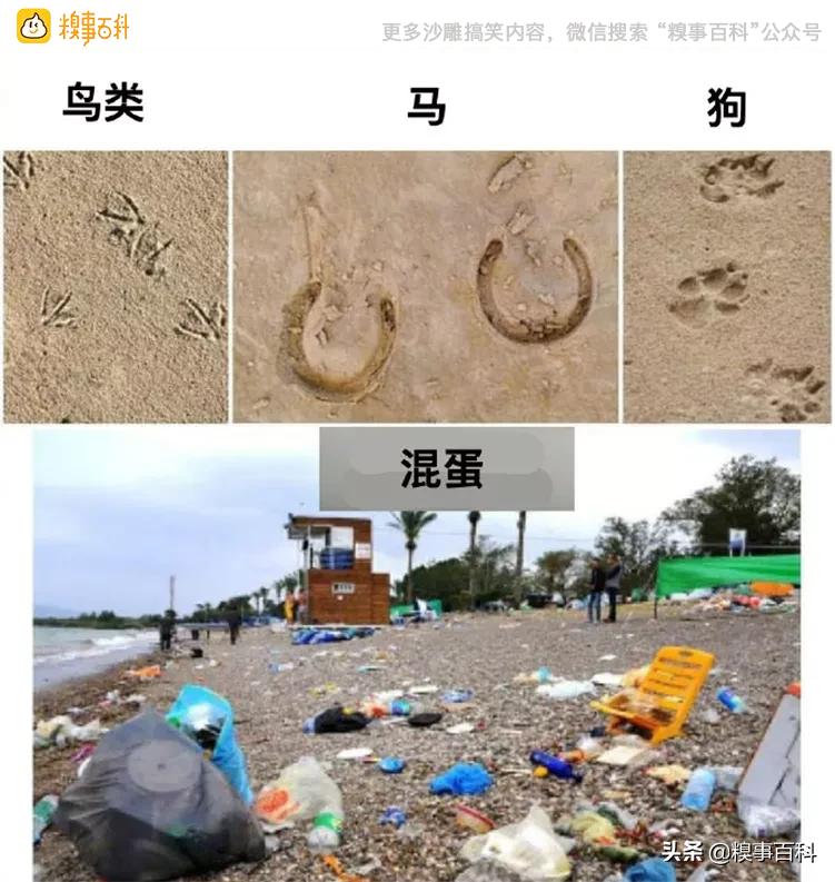 我愿意为富婆承受烦恼，请问在哪联系？