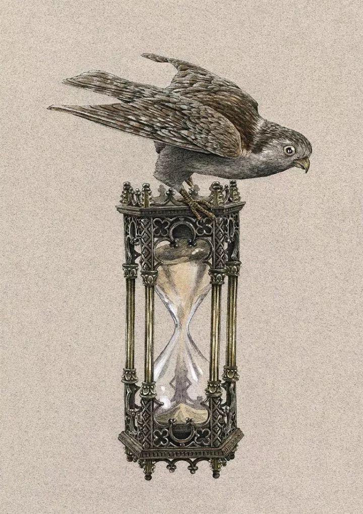 超好看的素描静物,超级惊艳的素描画