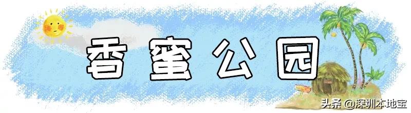深圳有哪些地方免费景点,深圳都有什么景点免费游玩