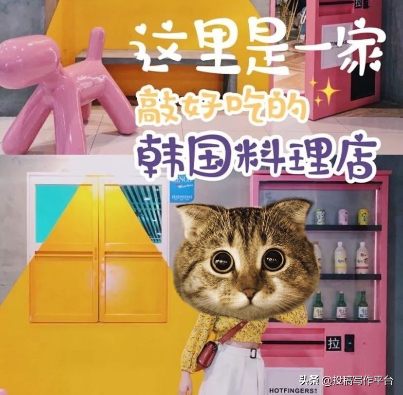 100元/篇|「朝露轻食指南」公众号长期征稿(急需稿件)