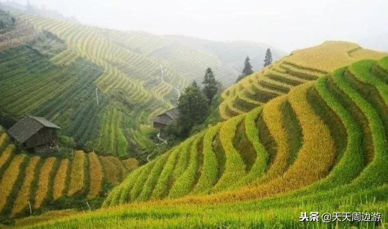 寻找广东最美古道秋景