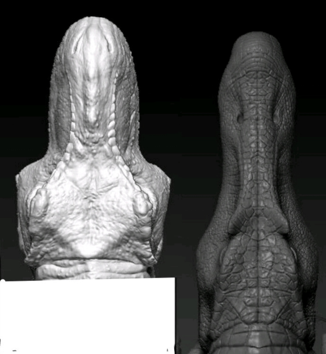 《侏罗纪公园3》棘龙打败霸王龙：主角光环实力碾压？