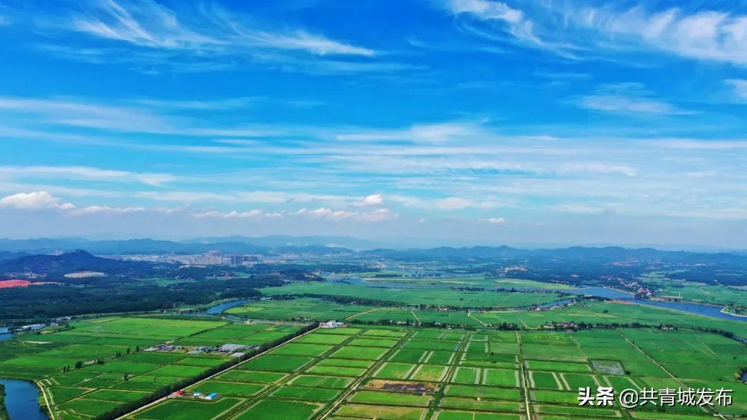 有一种蓝叫火焰蓝朗诵,有一种蓝叫海蓝