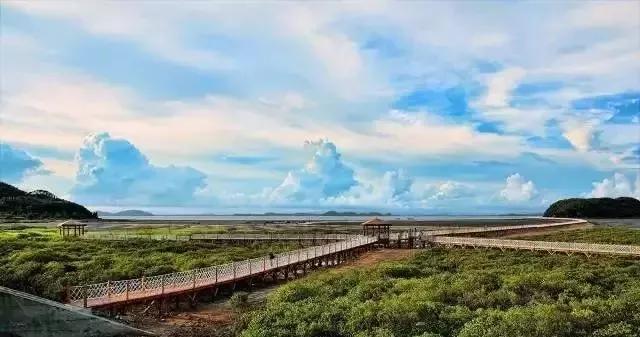 北洛秘境度假酒店30楼游泳池,北洛秘境度假酒店无边际泳池门票