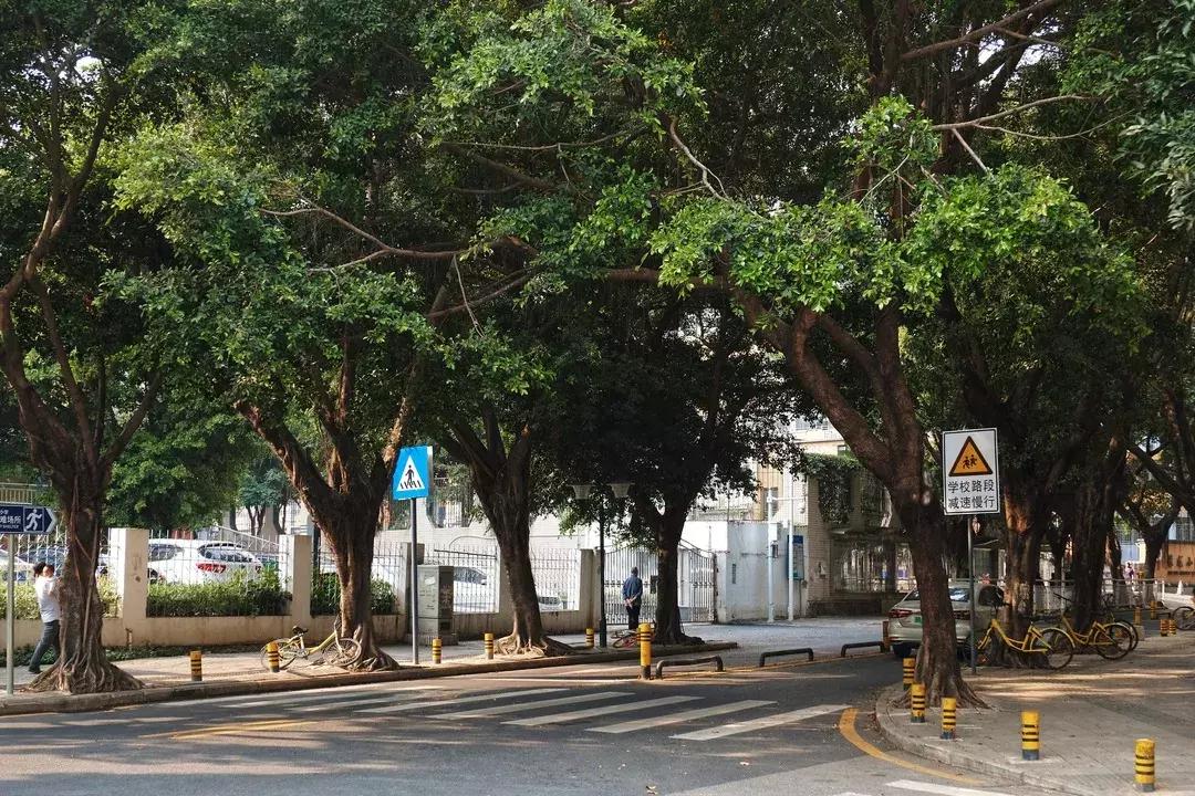 景田城中村,景田水源地