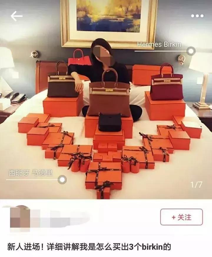 老佛爷的遗产真的由猫继承,老佛爷的所有家产最后留给了猫