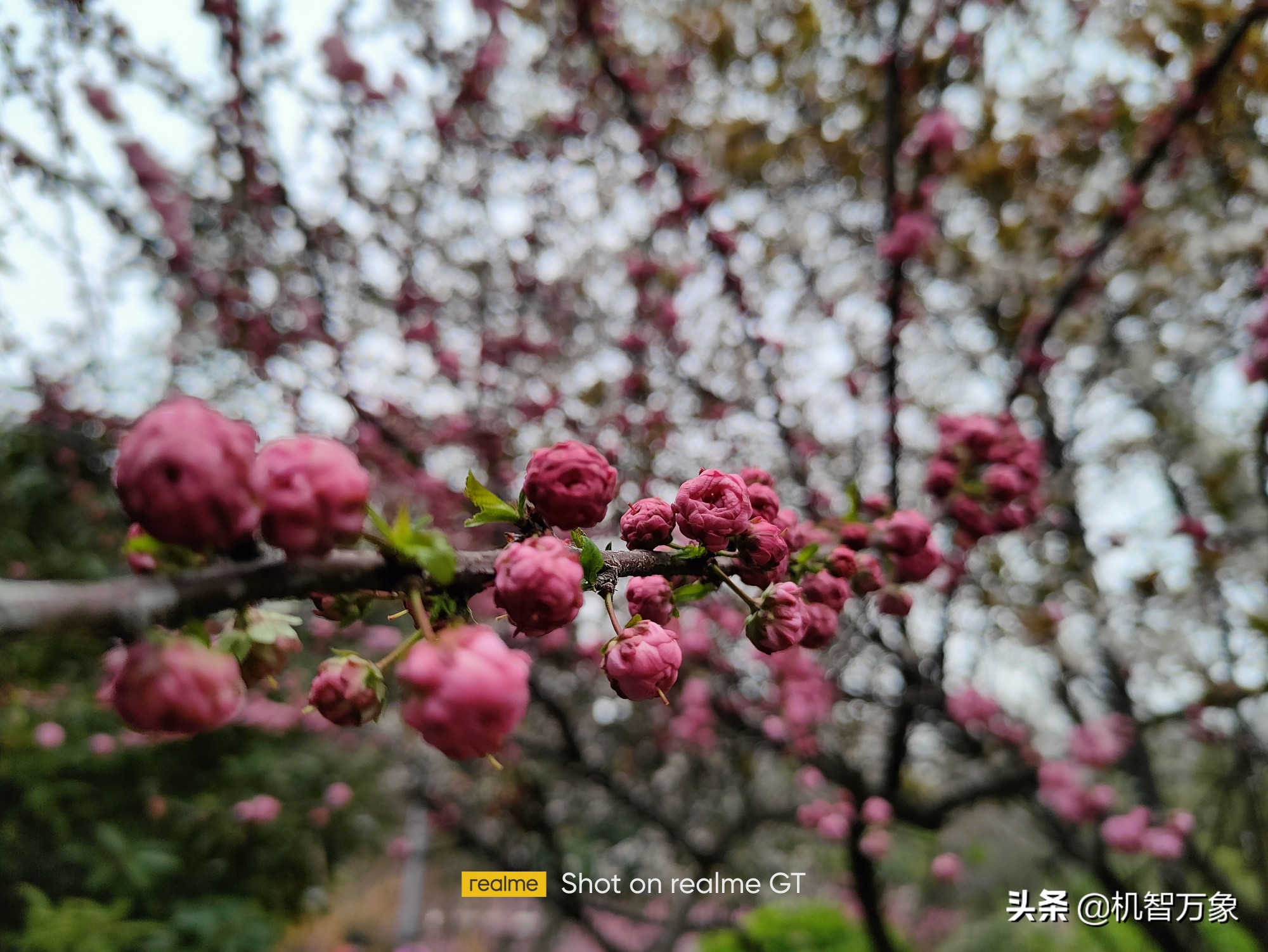 realme真我gt深度评测优缺点,realme真我GT测评