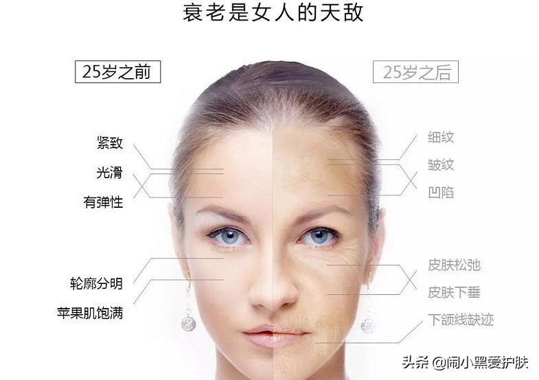 卡项专栏｜童颜紧致肌肤，追溯本原自己