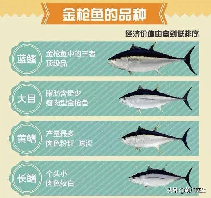 如何促使猫咪喝水,猫咪喜欢喝水吗