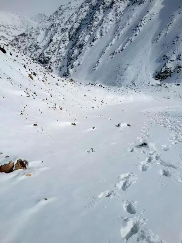 岗什卡雪山海拔多少米,圣洁的雪山辽阔的草原叫什么名字