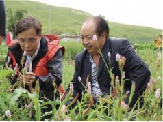 立德仁爱善济岐黄访中国工程院院士、中国中医科学院院长黄璐琦