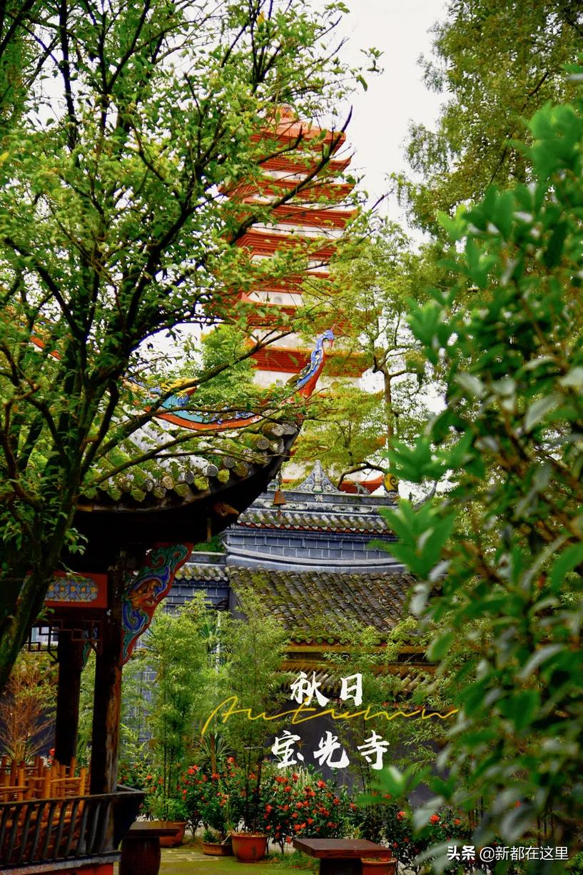 新都生活体验,来昆明感受向往的生活