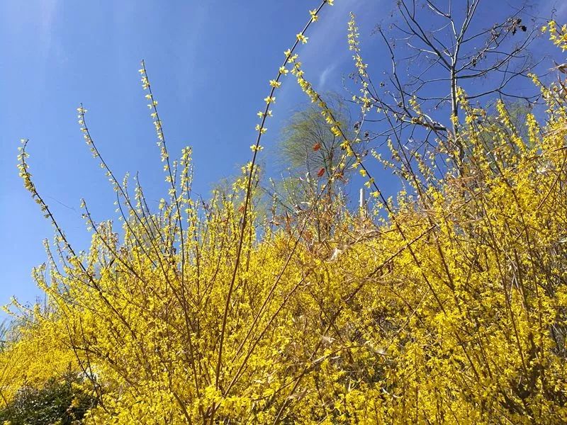 晋城司徒小镇异域风情,晋城皇城相府和司徒小镇