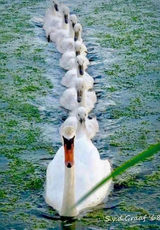 发现被别人偷拍照片,偷拍别人的照片是否违法