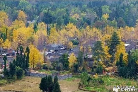 云南腾冲银杏村杙春园客栈对外招租，只为等待有缘的你