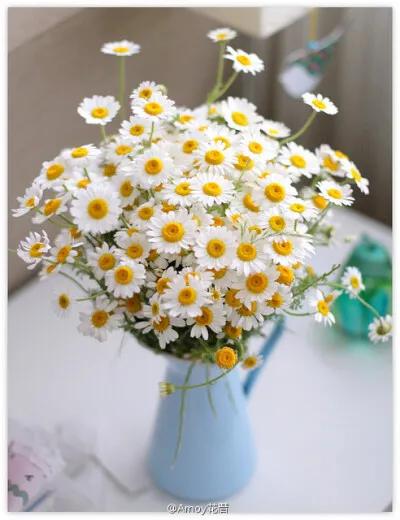 癔症恐怖吗,可怕的癔症