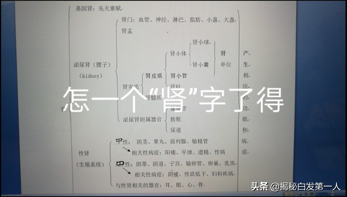 神治合集,神治法