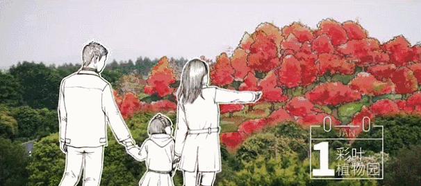 郑州春节周边景区免费景点大全,春节赏花的好去处