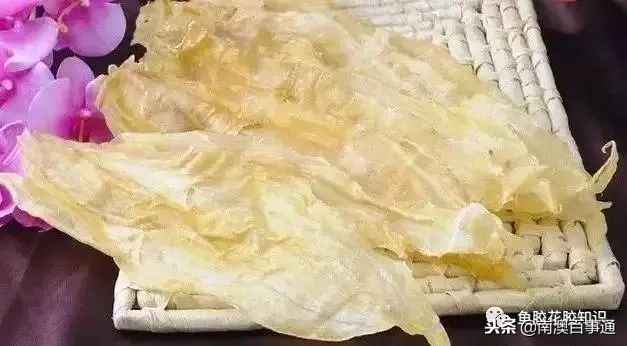 涨知识！鱼胶种类大全，不看亏大了！