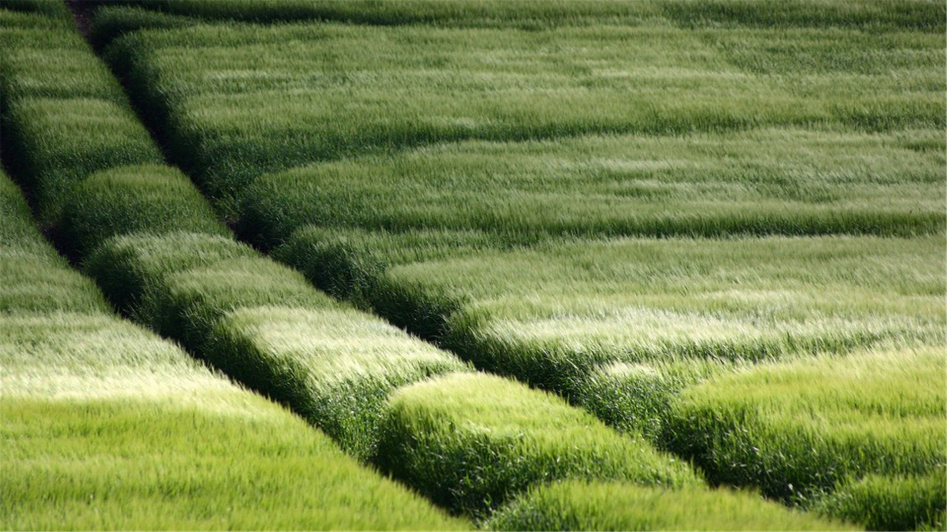 蓝色护眼壁纸唯美图片,最美的护眼桌面壁纸