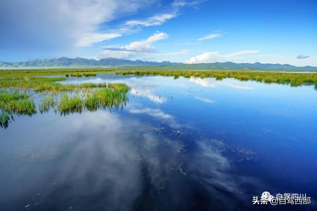 鑻ュ皵鐩栧ぇ鑽夊師杩樻湁娌℃湁婀垮湴,鑻ュ皵鐩栨箍鍦伴粍娌崇殑澶ц嚧璧板悜
