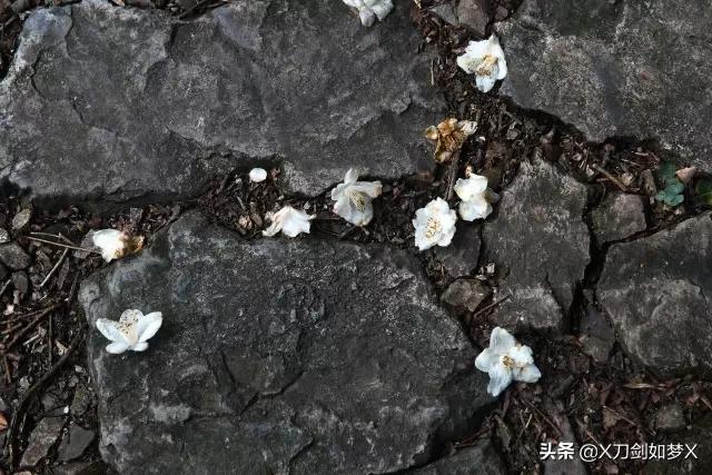 歙旌古道徒步回起点,上海徽杭古道徒步攻略