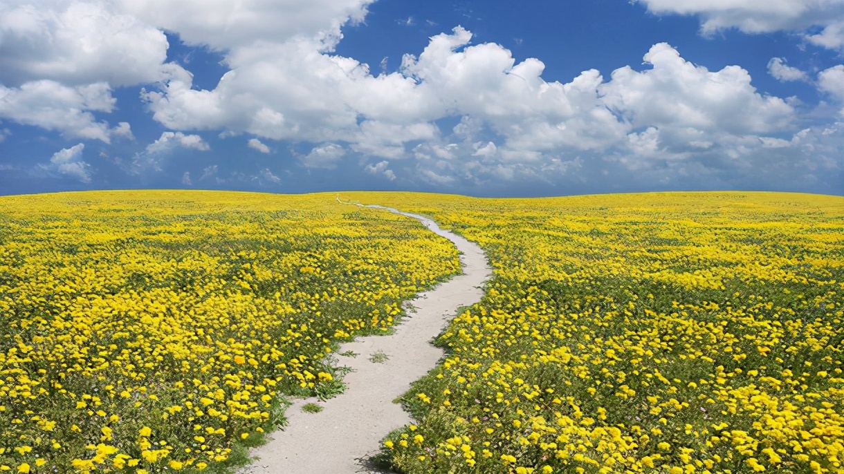 大气简单寓意好的女孩名字,取女孩富有寓意的名字大全