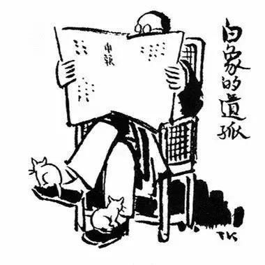 一人一茶一猫陪伴的时光,一人一茶一猫