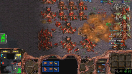 星际争霸1.08虫族为什么没有地刺,星际争霸1为什么玩不了