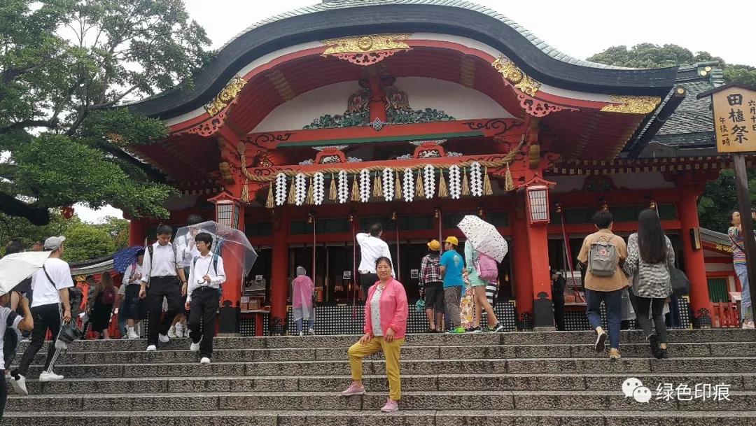 浼忚绋昏嵎澶хぞ鍗冩湰楦熷眳,浼忚绋昏嵎绁炵ぞ鍔ㄦ极鍙栨櫙