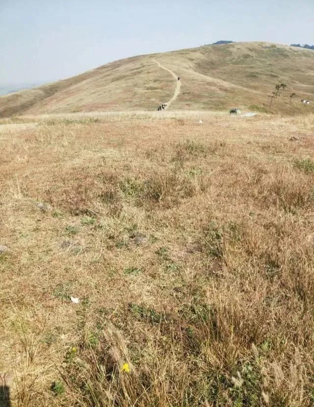 想不通就去爬山看海吧,呼伦贝尔大草原自驾游攻略