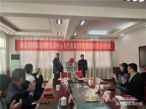 巴西新星桑托斯,巴西足球最新引援