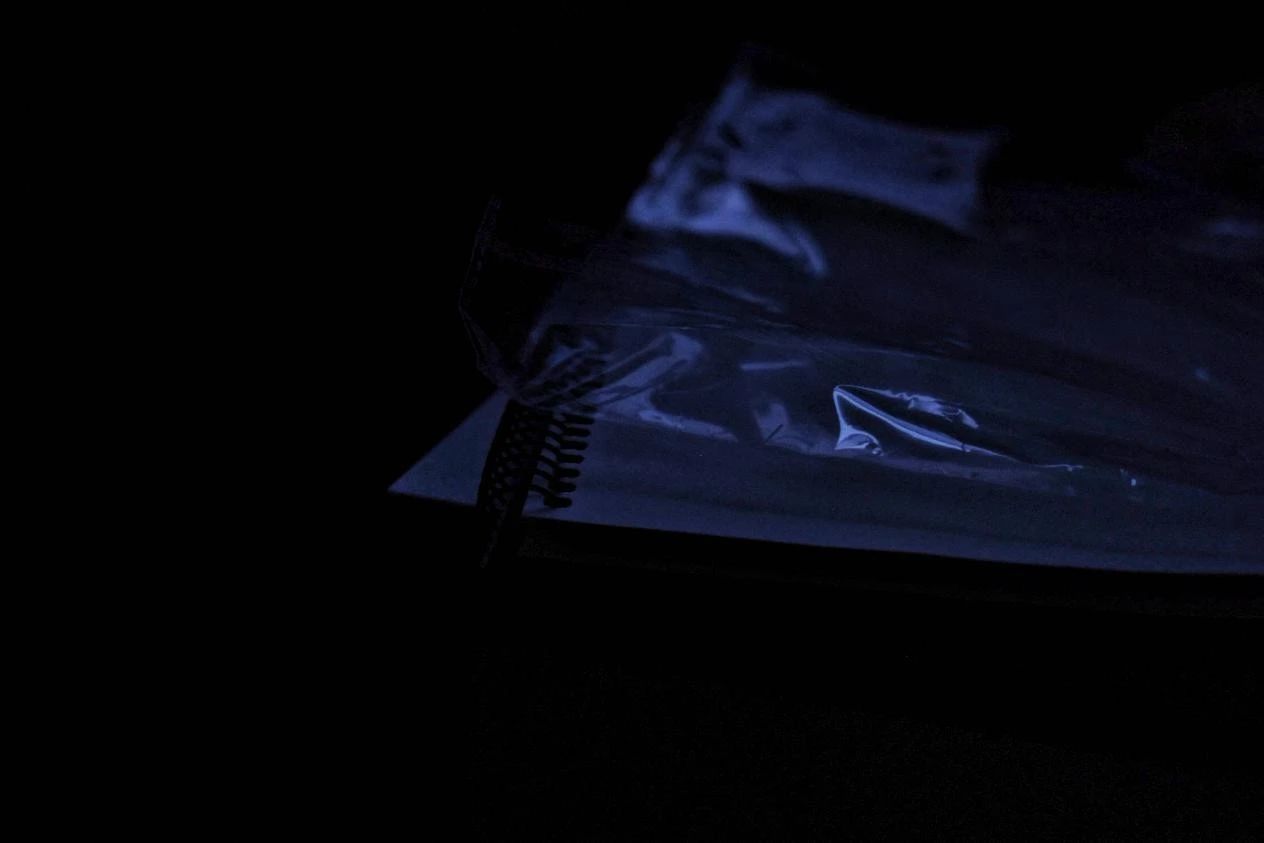 特别专题丨封闭期的艺术家们（五）