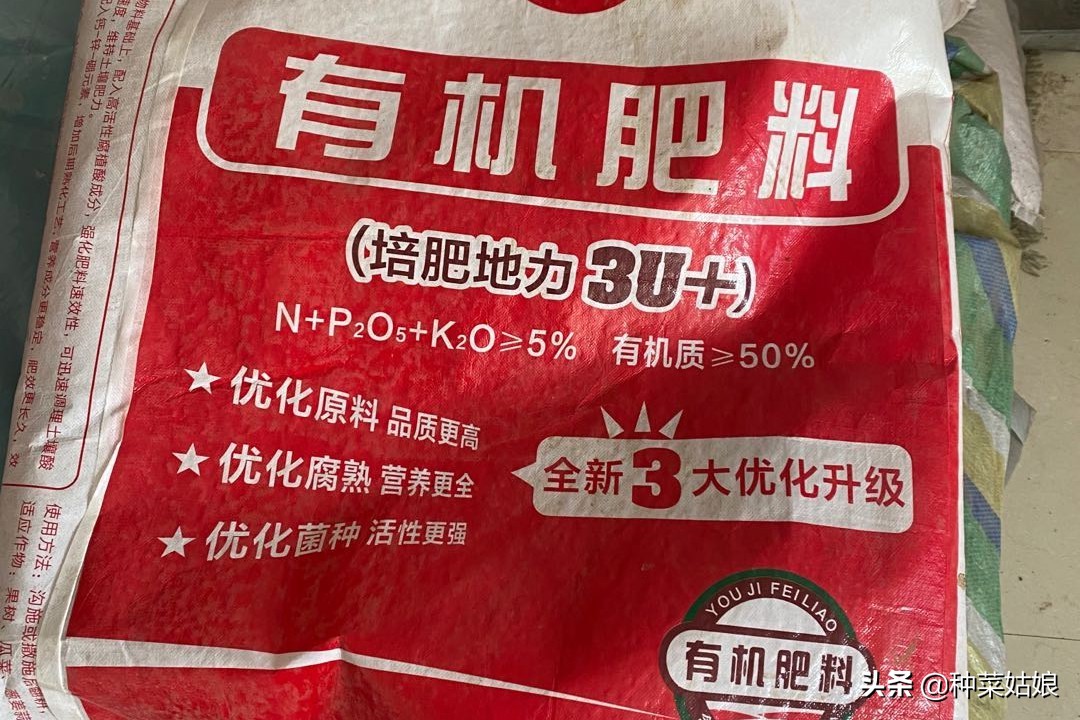 种菜怎么施肥效果最好,种菜长得慢该怎么办