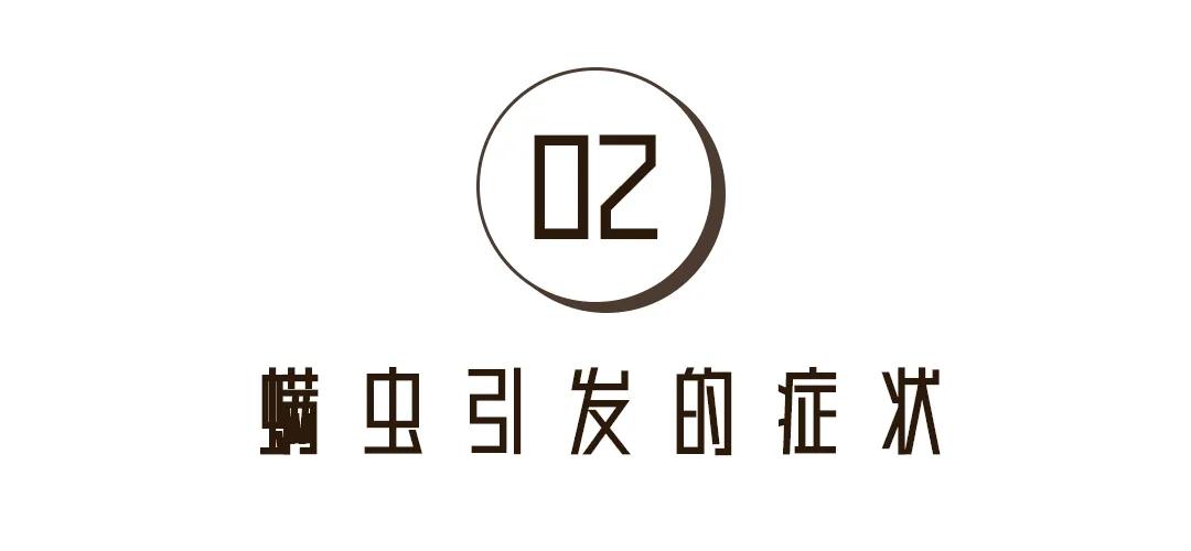 冬天螨虫多还是夏天螨虫多,怎么有效的去除螨虫简单方法