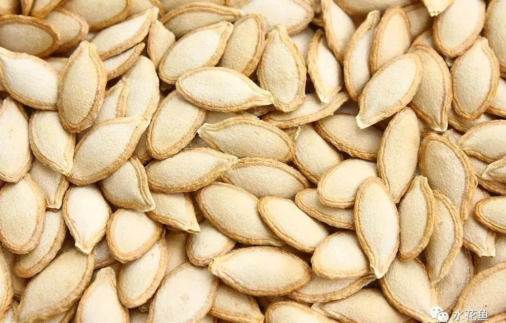 鱼类寄生虫用什么药,鱼类寄生虫怎么灭杀