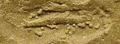 「鉴变」2494普陀耐最受欢迎的大模第二无耳线模