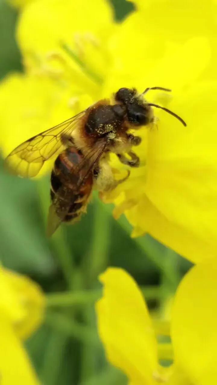 回味阅兵,回味国庆节