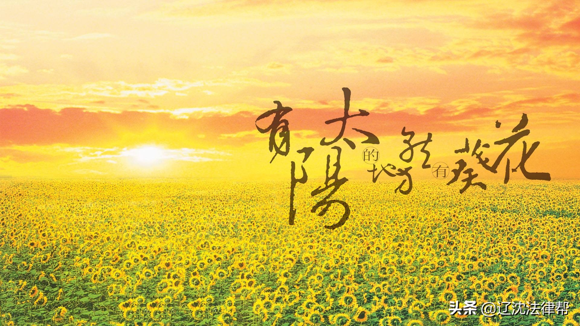 葵花药业老板杀妻案怎么回事,葵花药业董事长杀妻案经过