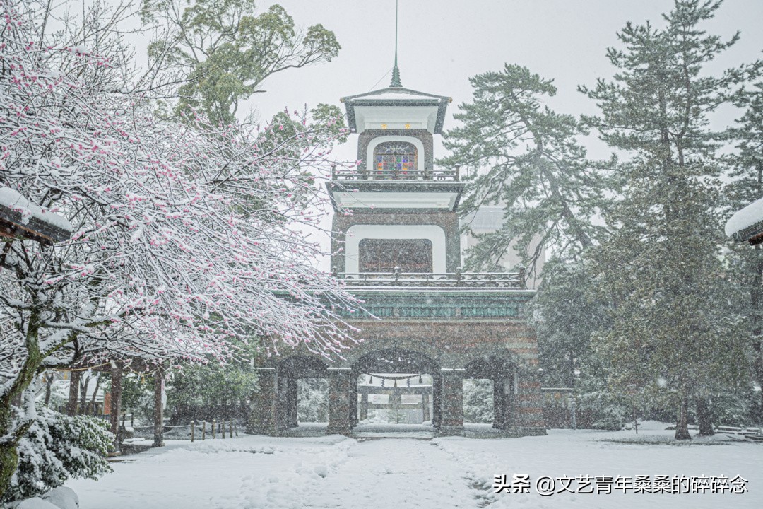 冬季日本的自驾游攻略,冬日游日本名古屋攻略