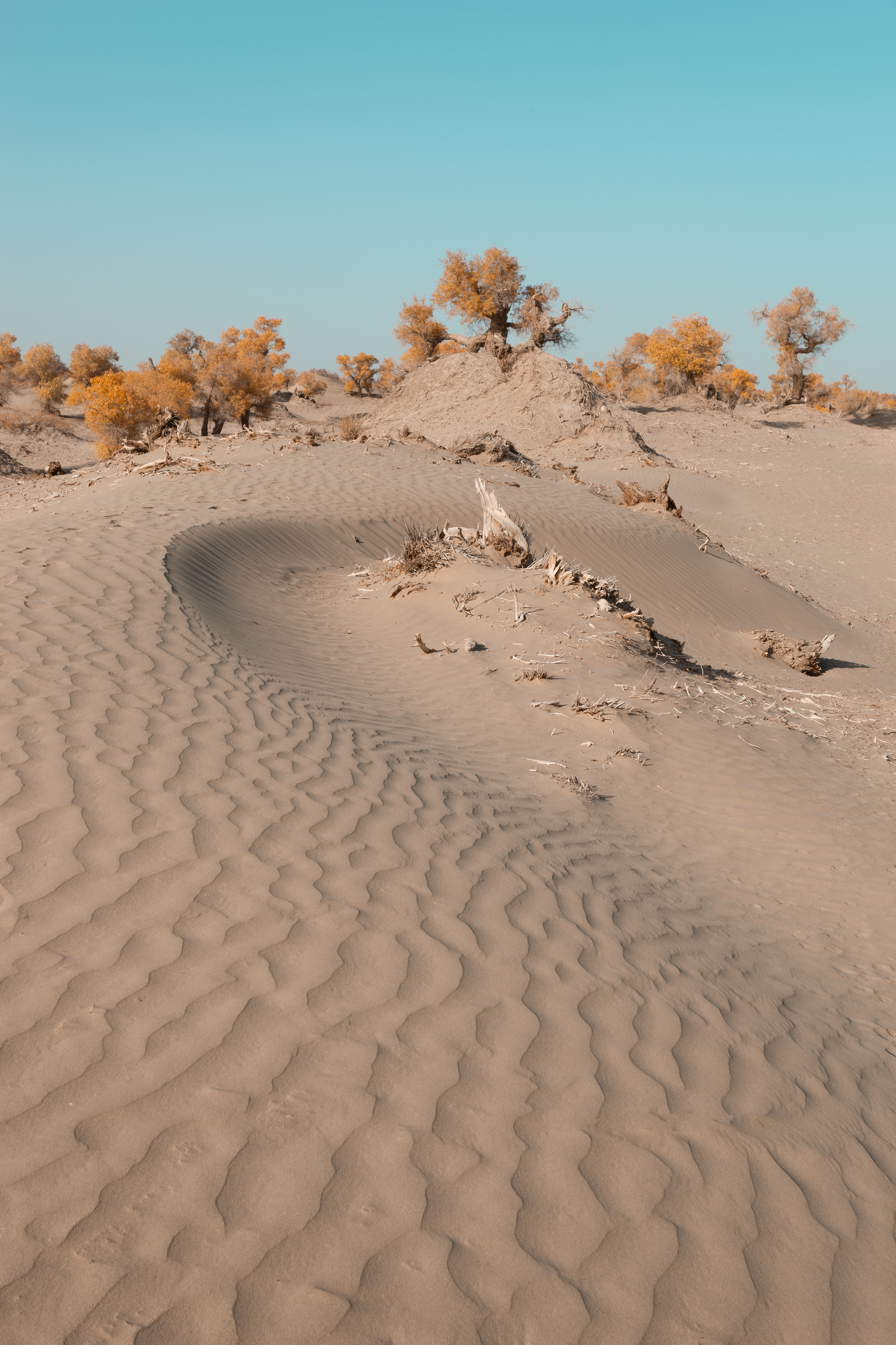 他告诉我，人有多大胆，远方就有多远