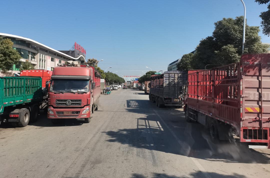 无货可拉，在原地“趴窝”5天是什么感受？